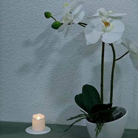 Modern Neuburg N - Neu - 3 Zimmer, Stellplatz, Ausgestattet, Kueche, 4 Tv, Wi-fi Appartement